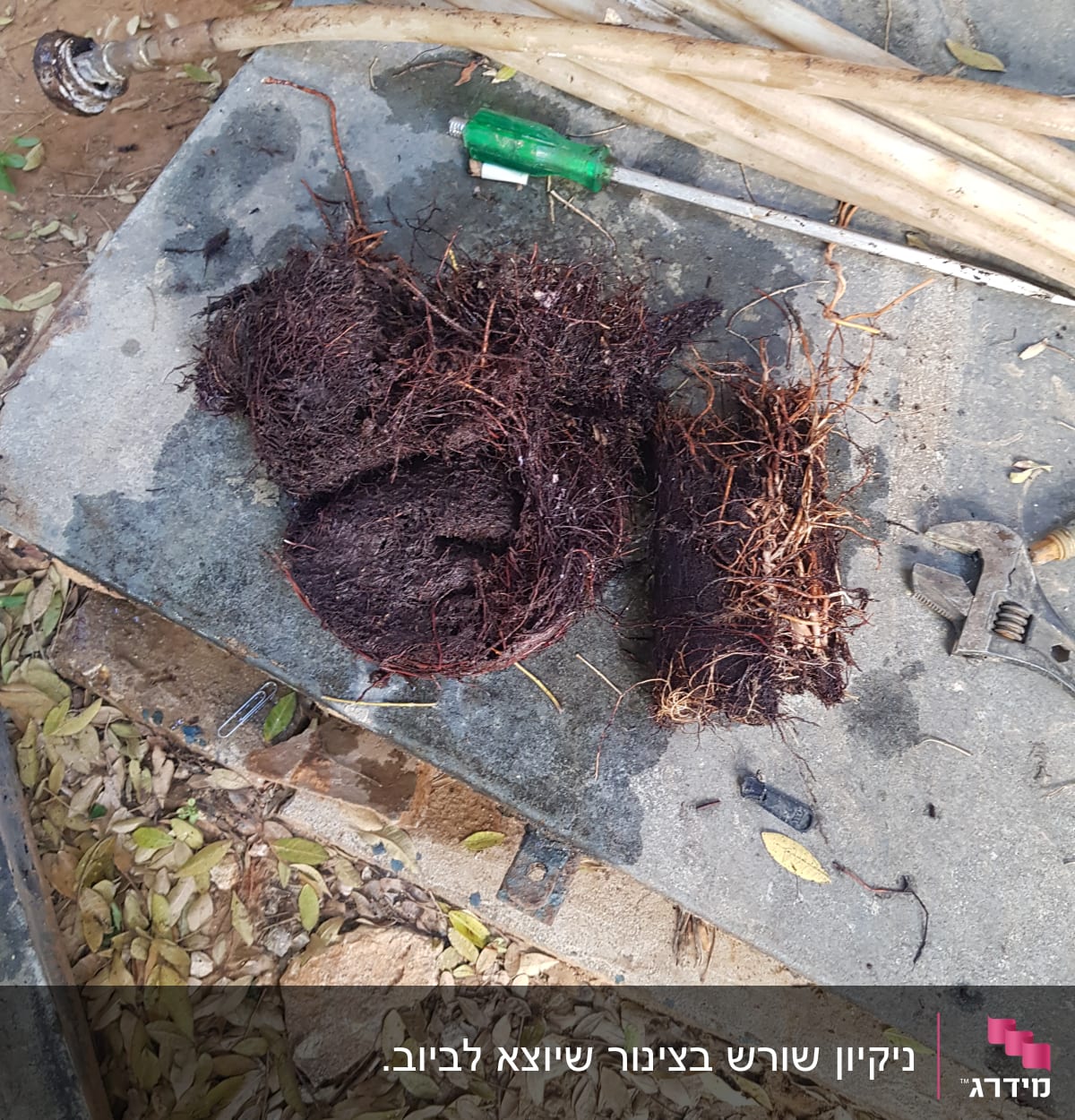 שורשים על הקרקע ליד צינורות וכלי עבודה